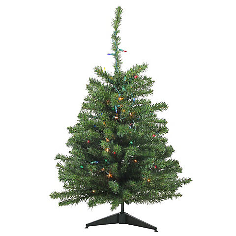 Northlight 3' Pre-Lit Medium Canadian Pine Artificial Christmas Tree - Multicolor Lights