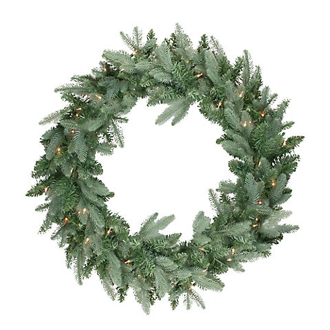 Northlight 24" Pre-Lit Washington Frasier Fir Artificial Christmas Wreath - Clear Lights