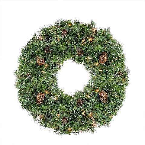 Northlight 24" Pre-Lit Dakota Pine Artificial Christmas Wreath - Clear Lights