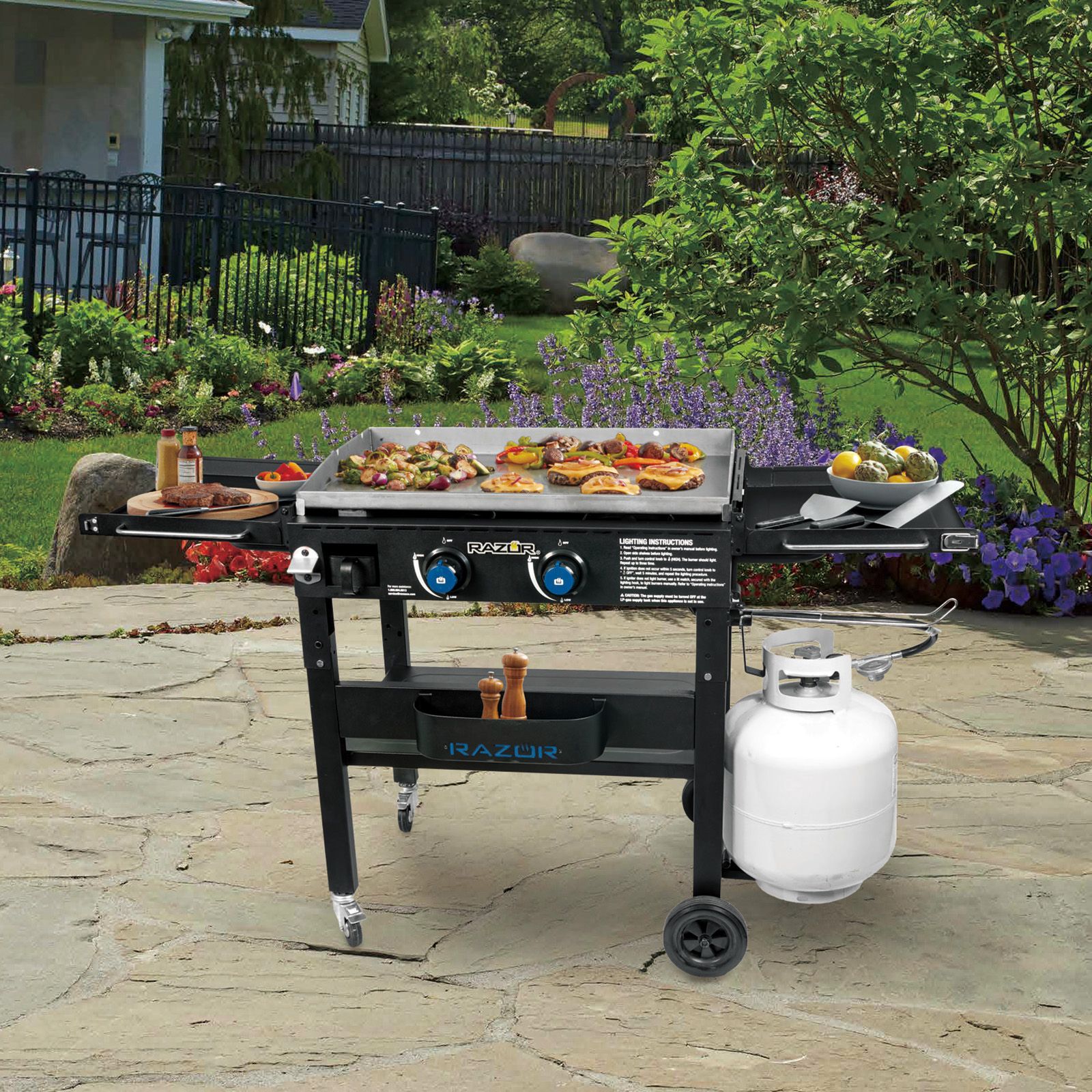 Razor Razor Black Steel Folding Grill Cart in the Grill Carts & Grill  Stands department at