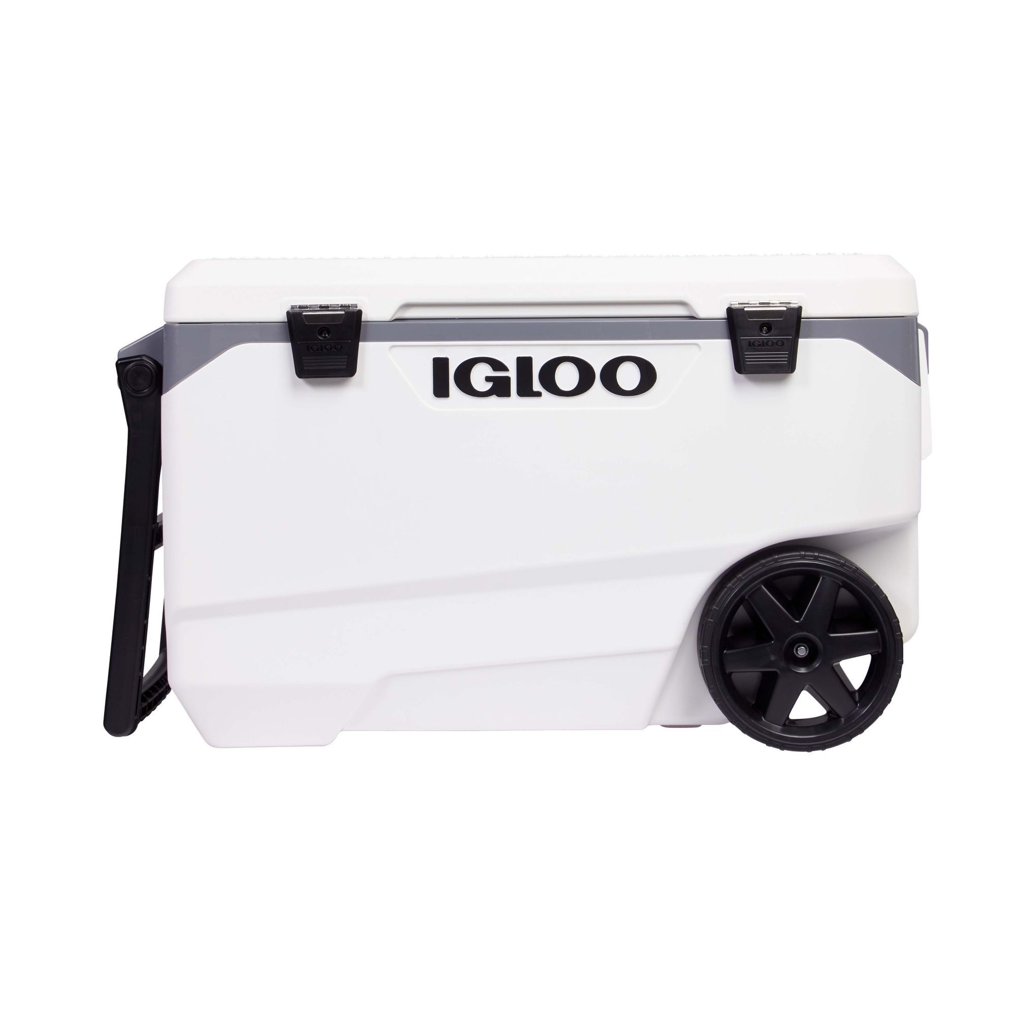 Igloo maxcold best sale 100 quart cooler