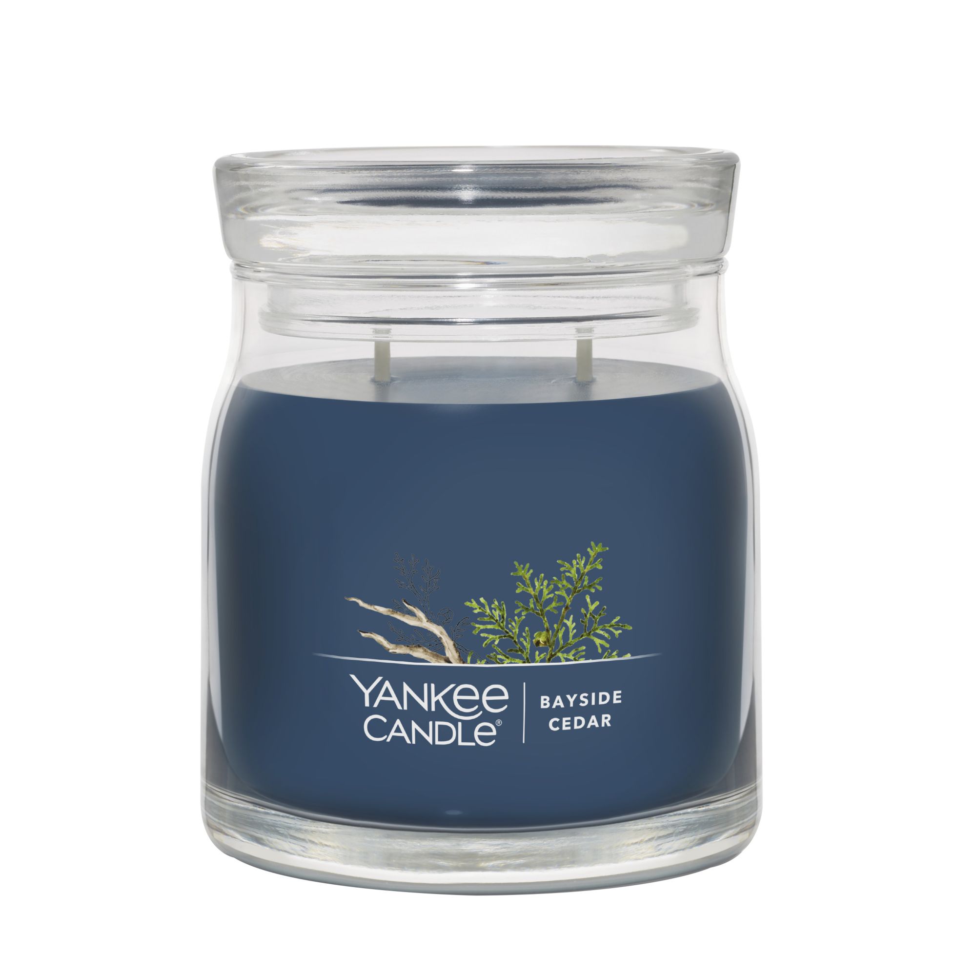 Signature Autumn Daydream Medium Jar Candle