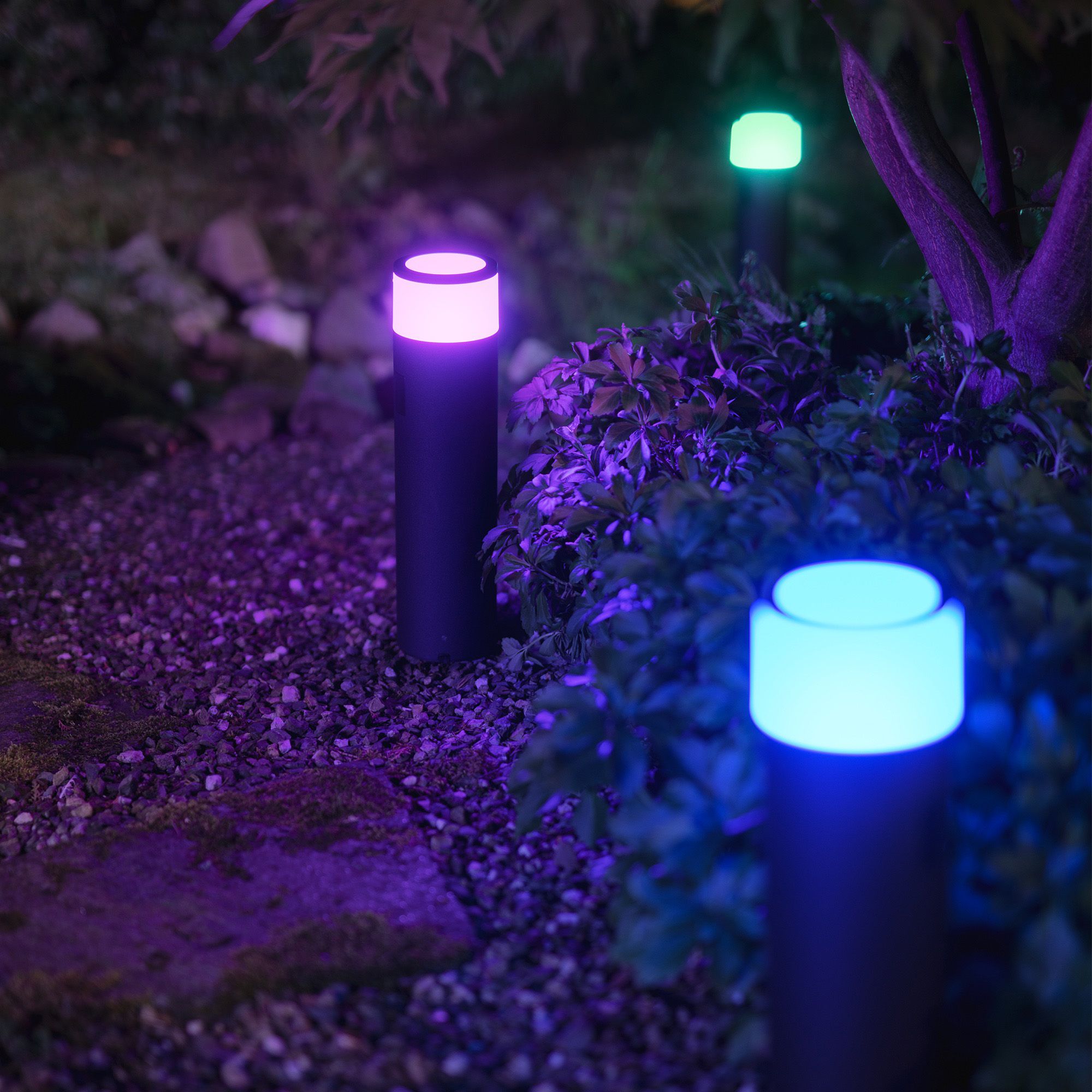 Philips calla discount