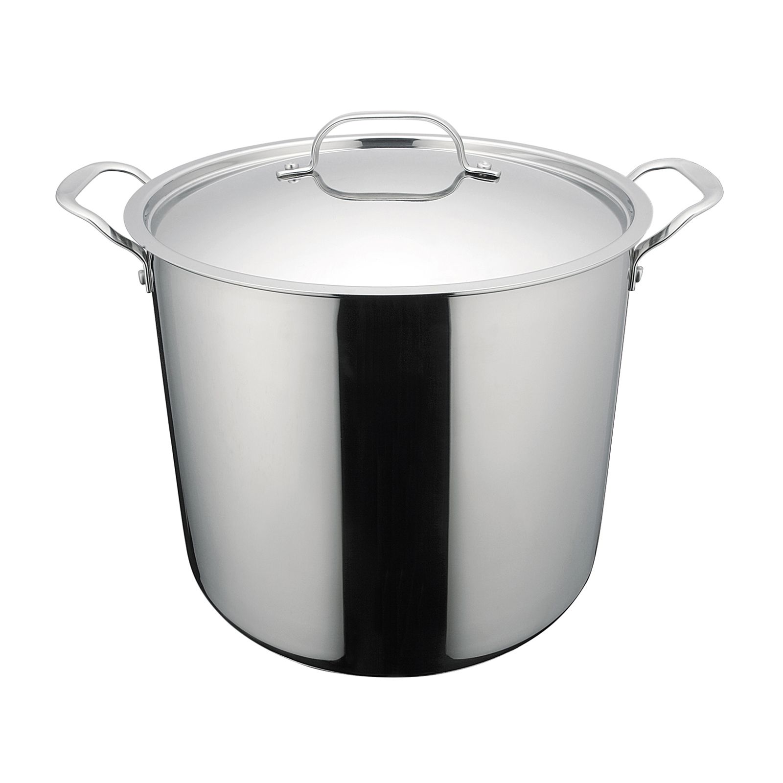 Professional Grade Stainless Steel Stock Pot from Camerons