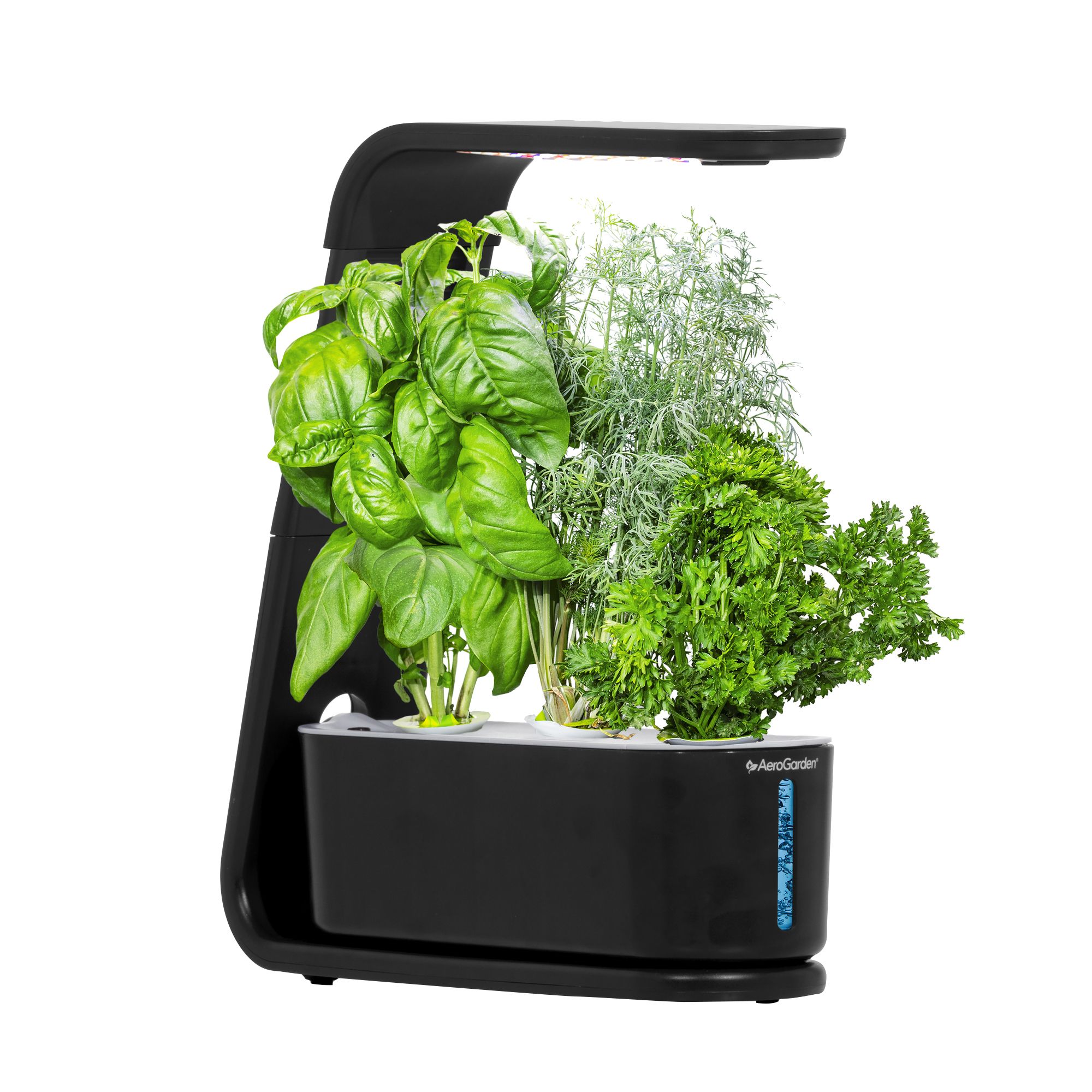 Hydroponic Salad box - (Tue-sat Subscription Free delivery)