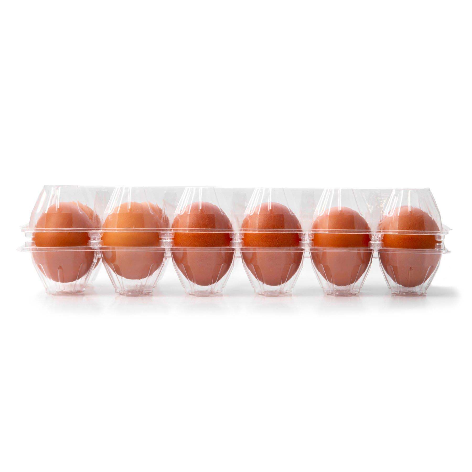 Wellsley Farms Free Range Large Eggs, 24 ct