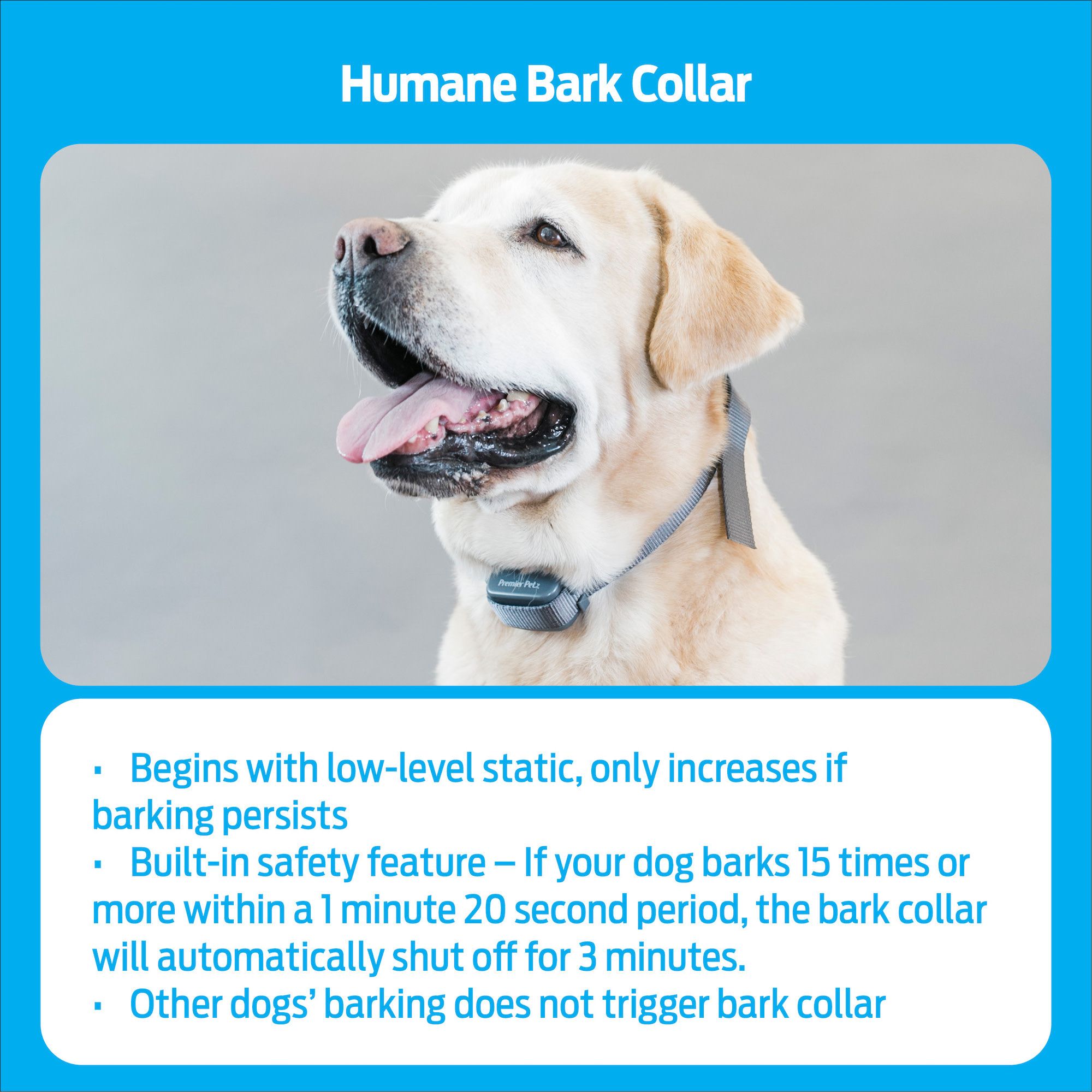 Premier Pet Bark Collar