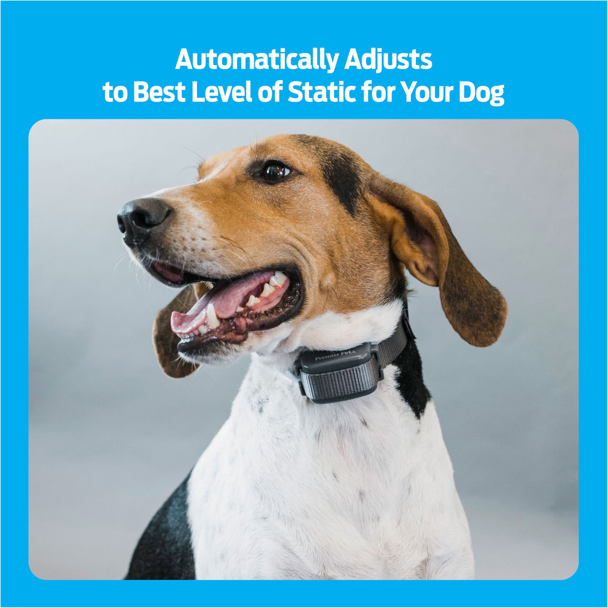 Best automatic bark clearance collar