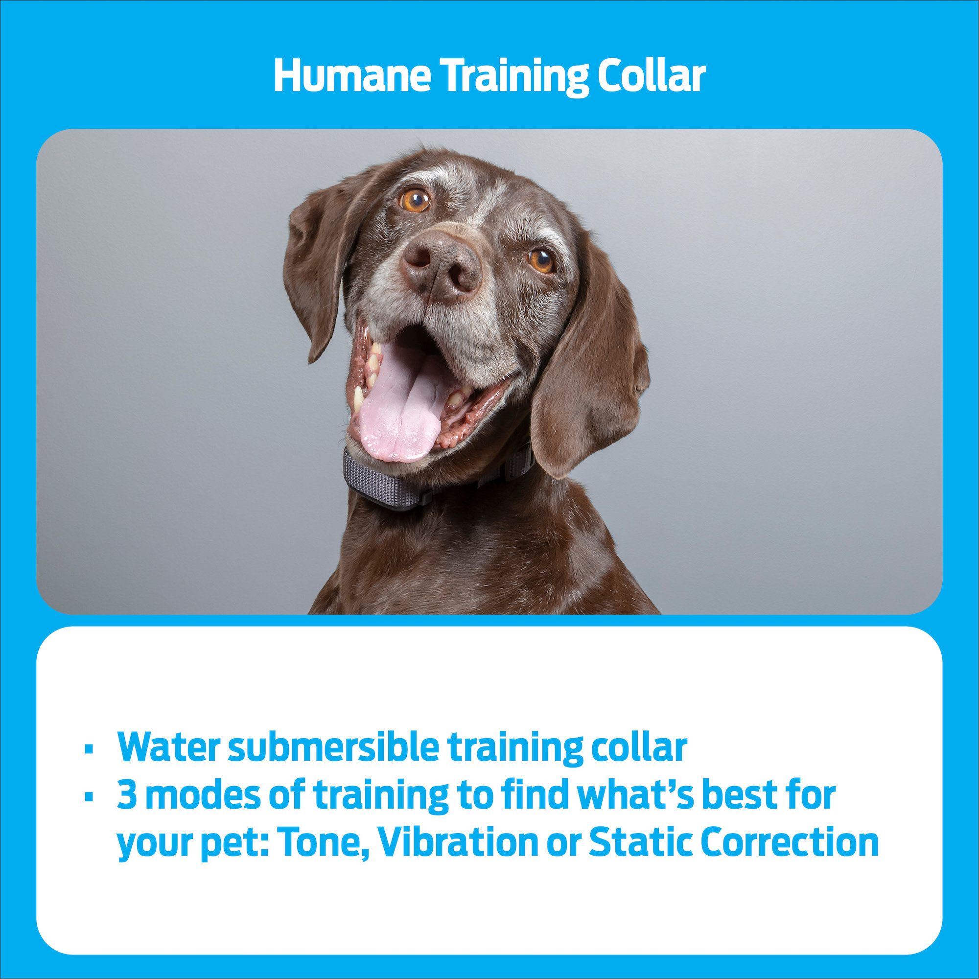 Premier pet clearance training collar