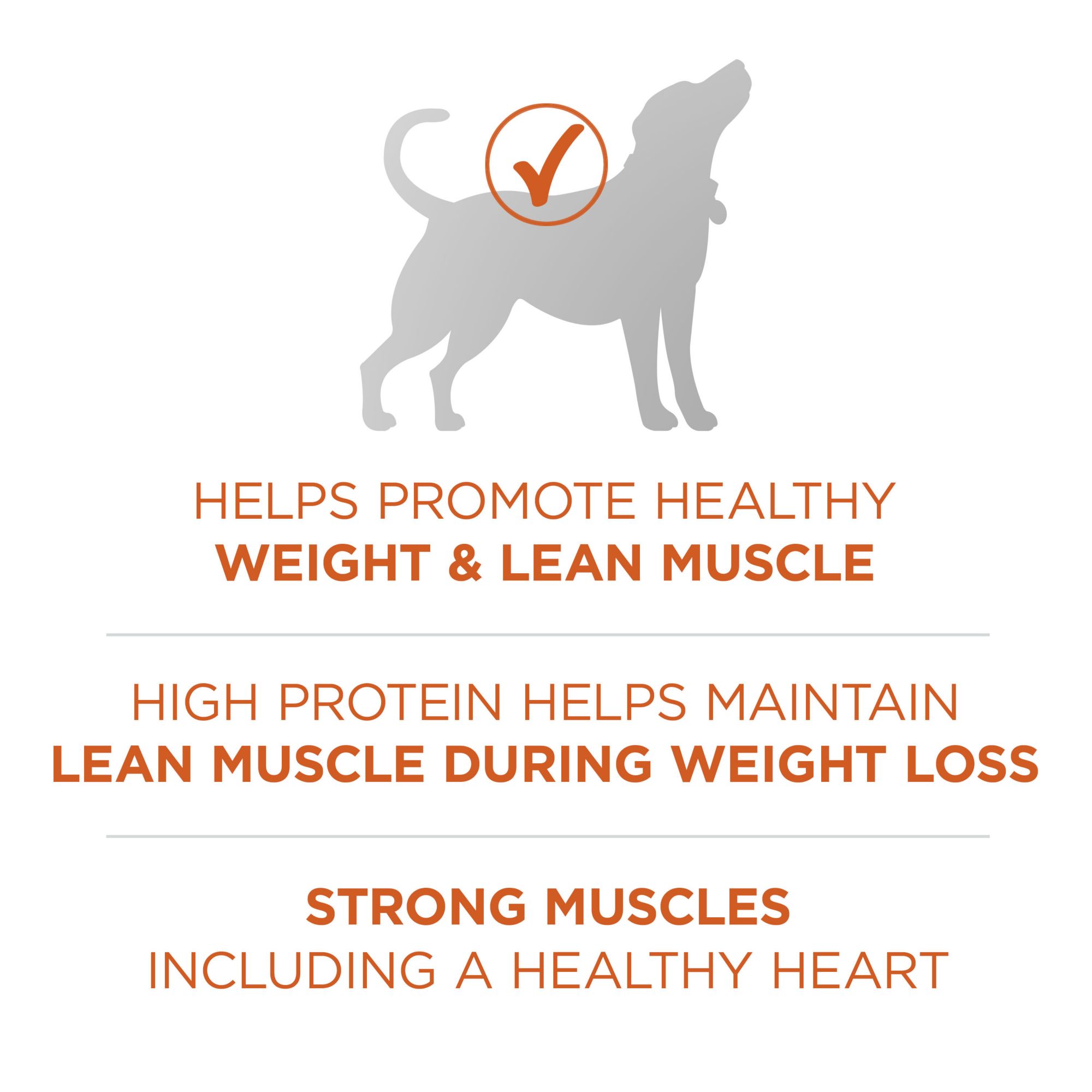 Purina one best sale weight management