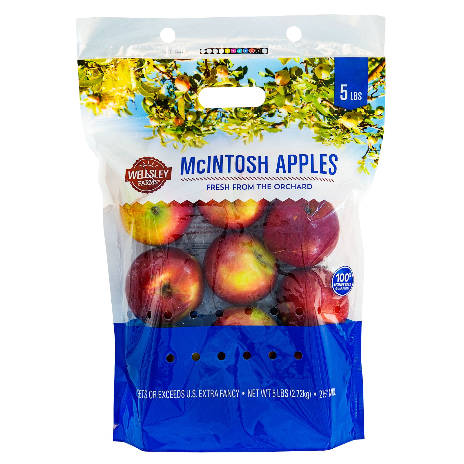 Fresh Mcintosh Apples, 5 lbs Tote 