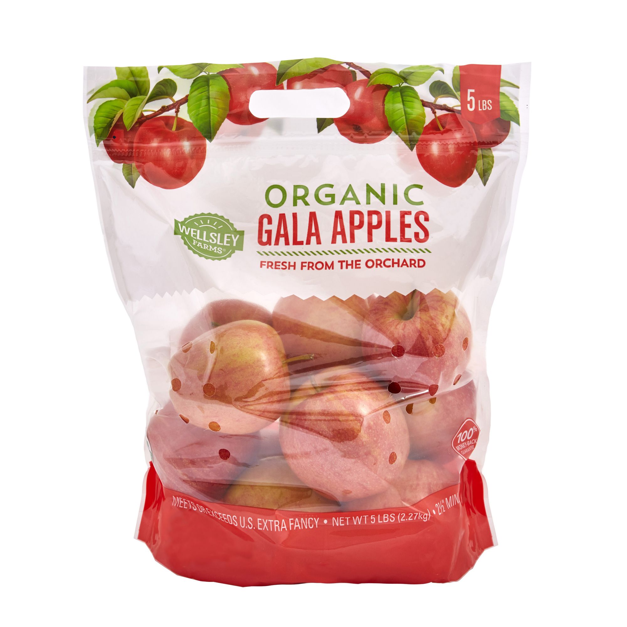 Fresh Gala Apples - Shop Apples at H-E-B