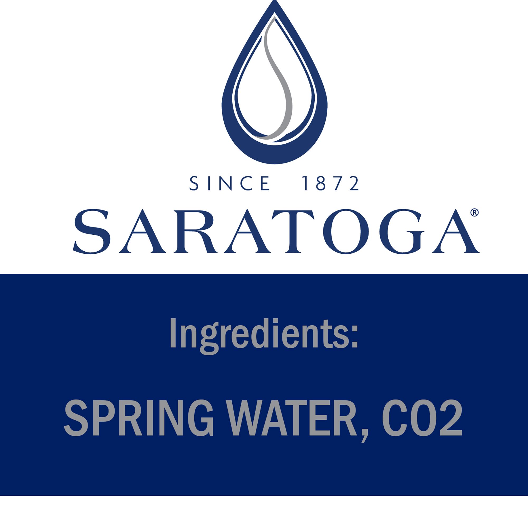 Saratoga Water 1L 12 Pack Glass Bottles