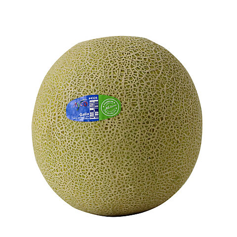 Ayco Farms Fresh Galia Melon, 1 ct.