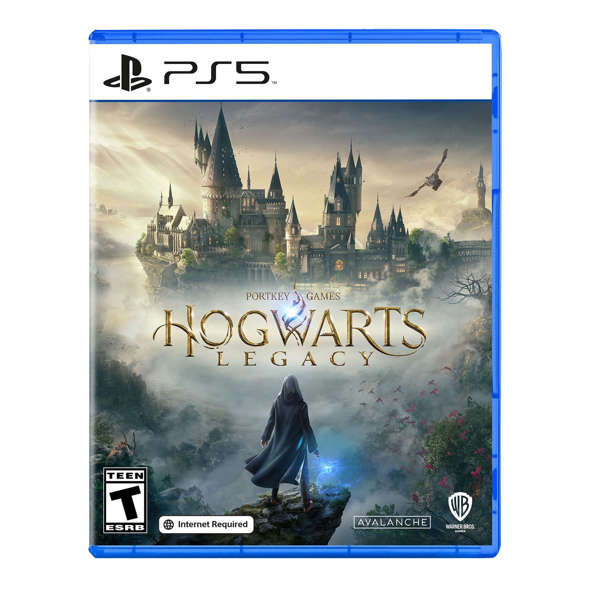 Hogwarts Legacy (PlayStation 5)