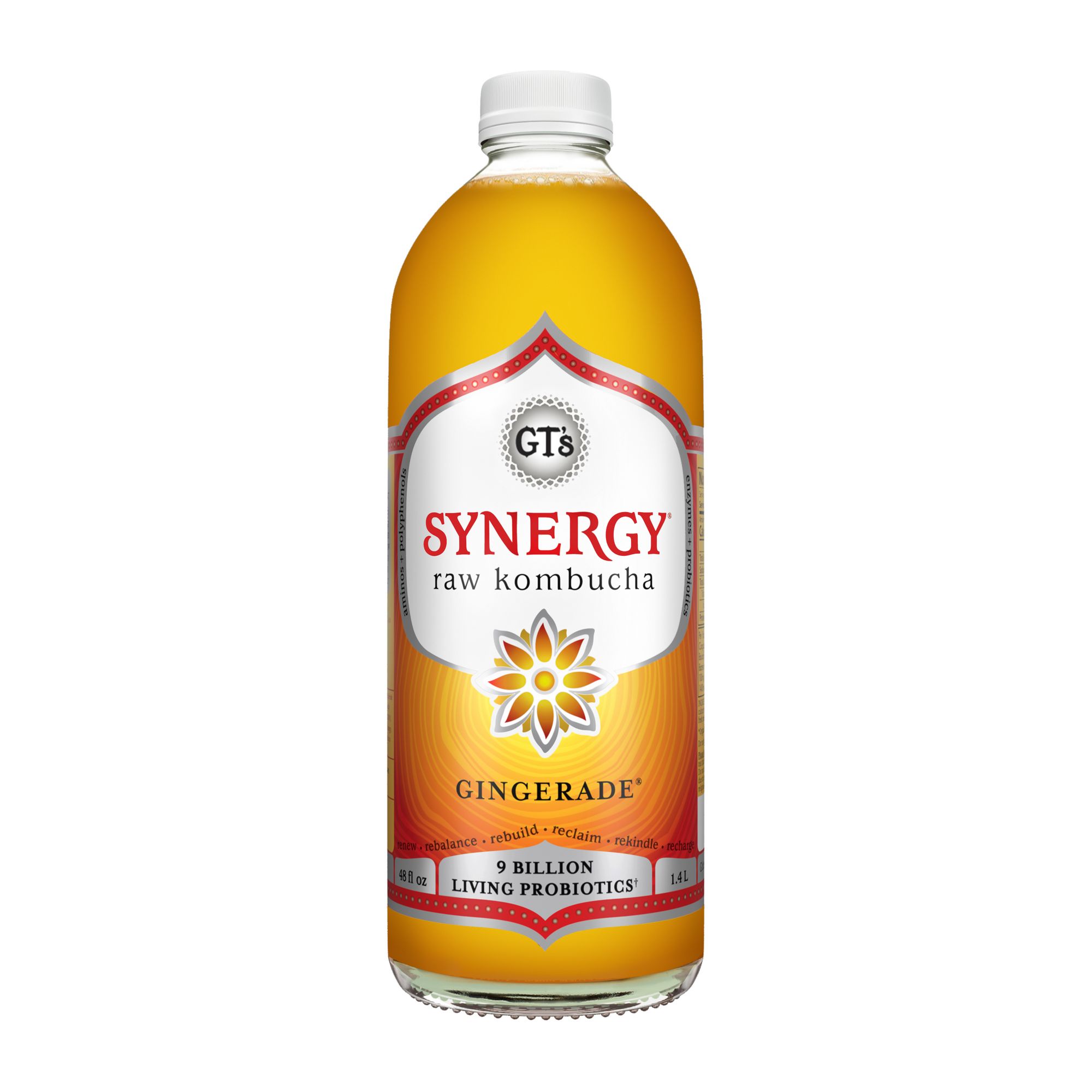 Synergy Nutrition Shaker Bottle - 18oz (3-pack)