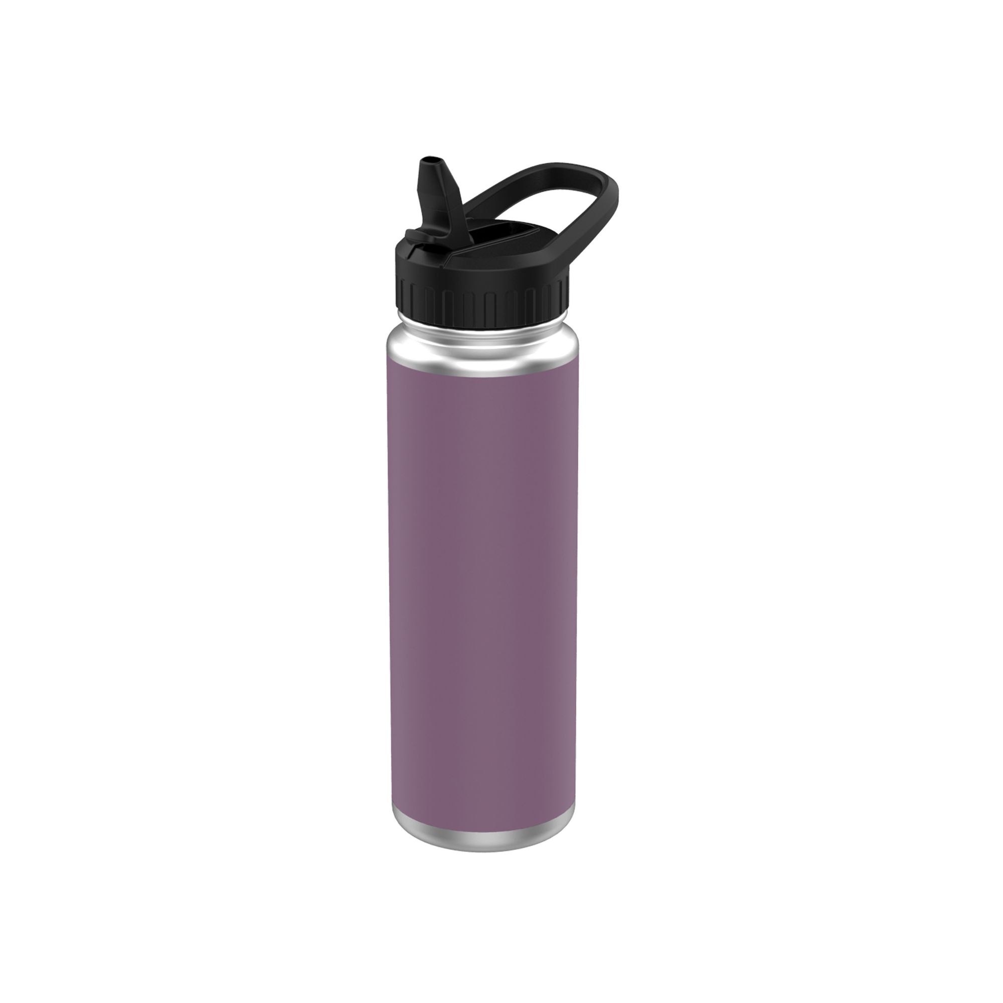 24oz Insulated Water Bottle with Flip-up Straw (Dark Purple)