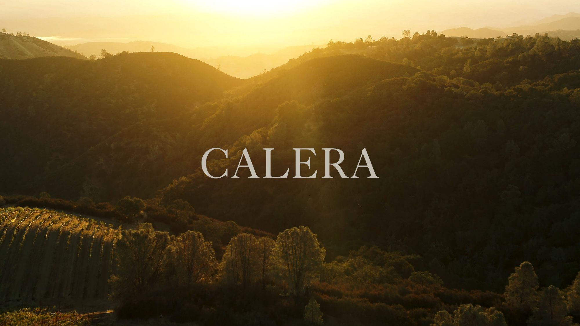 Calera Central Coast Pinot Noir Red Wine, 14.5% ABV, 750ml