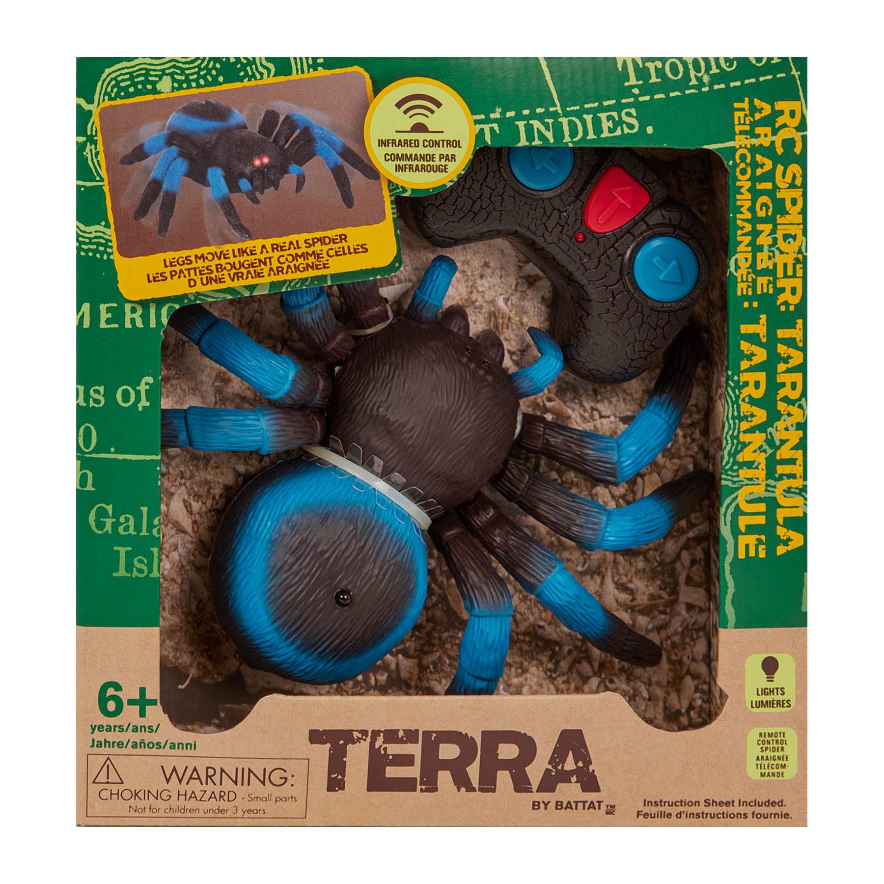 Blue Tarantula