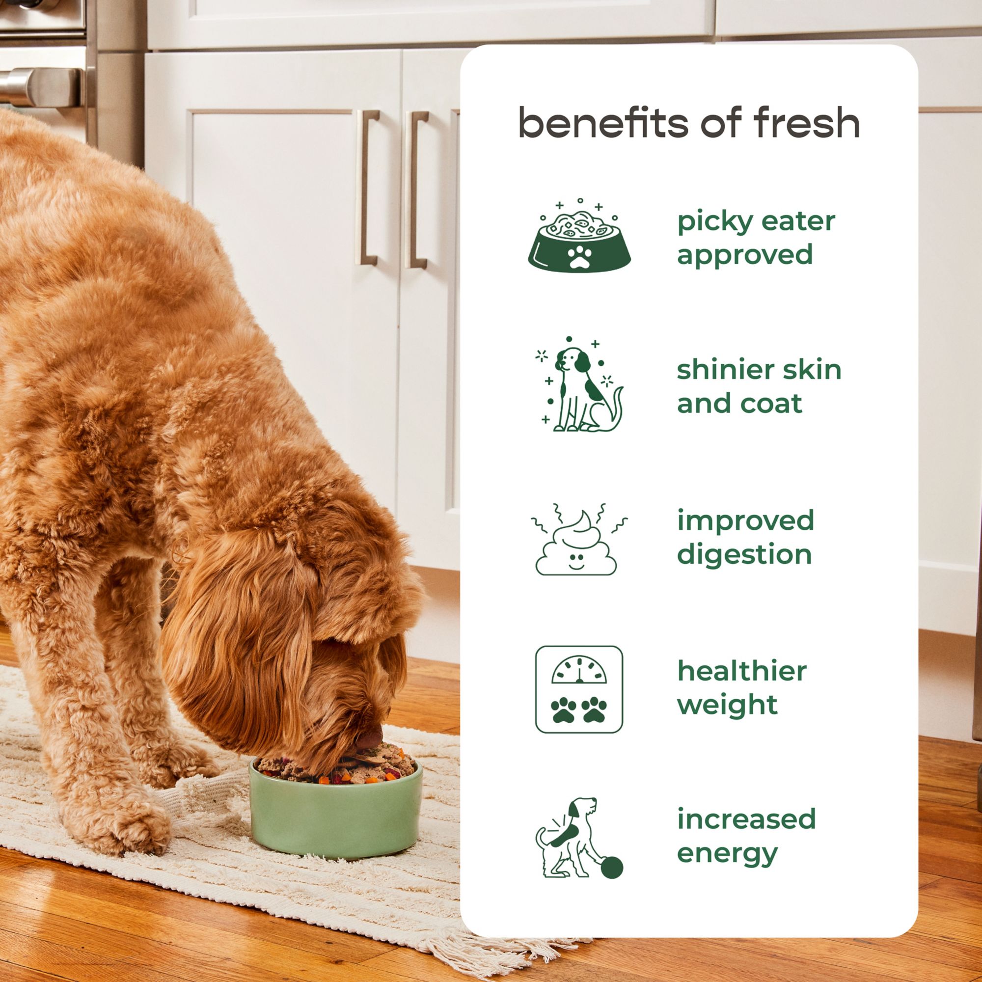 Freshpet Freshly Roasted Meals - Chicken Recipe, 5.5 lb.