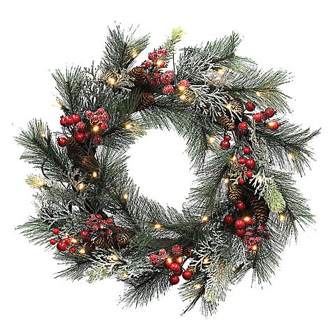 Berkley Jensen 28" Pre-Lit Holiday Wreath with Red Berries and Flocked Long Needles