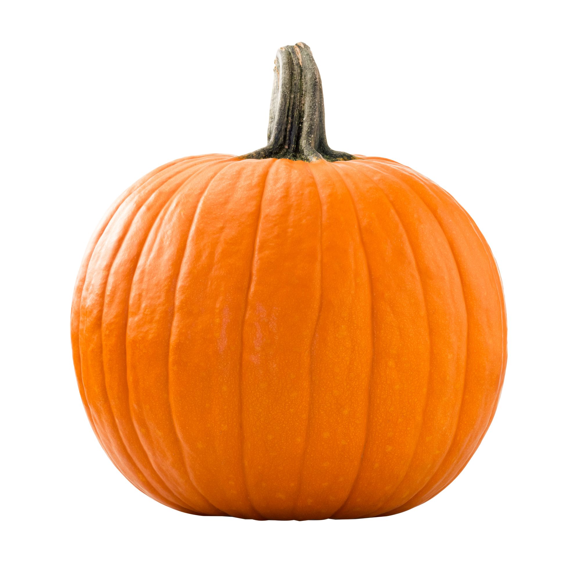 Pumpkin, 1 ct.  BJ's Wholesale Club