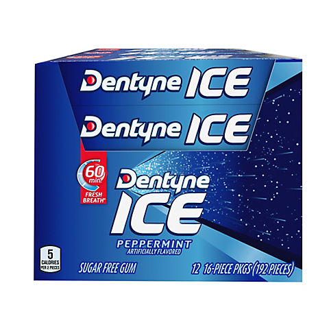Dentyne Ice Peppermint Gum, 12 pk./16 ct.
