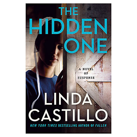 The Hidden One: A Novel of Suspense 