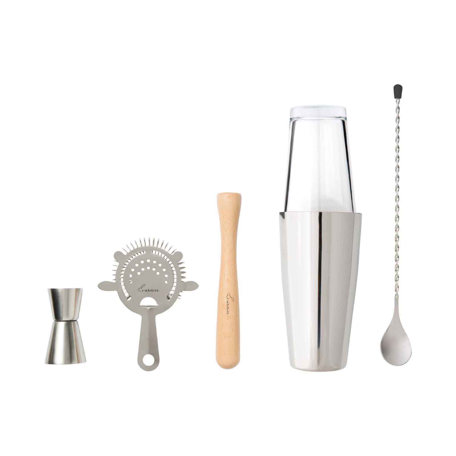 5pc Cocktail Shaker Set with Two Martini Glasses