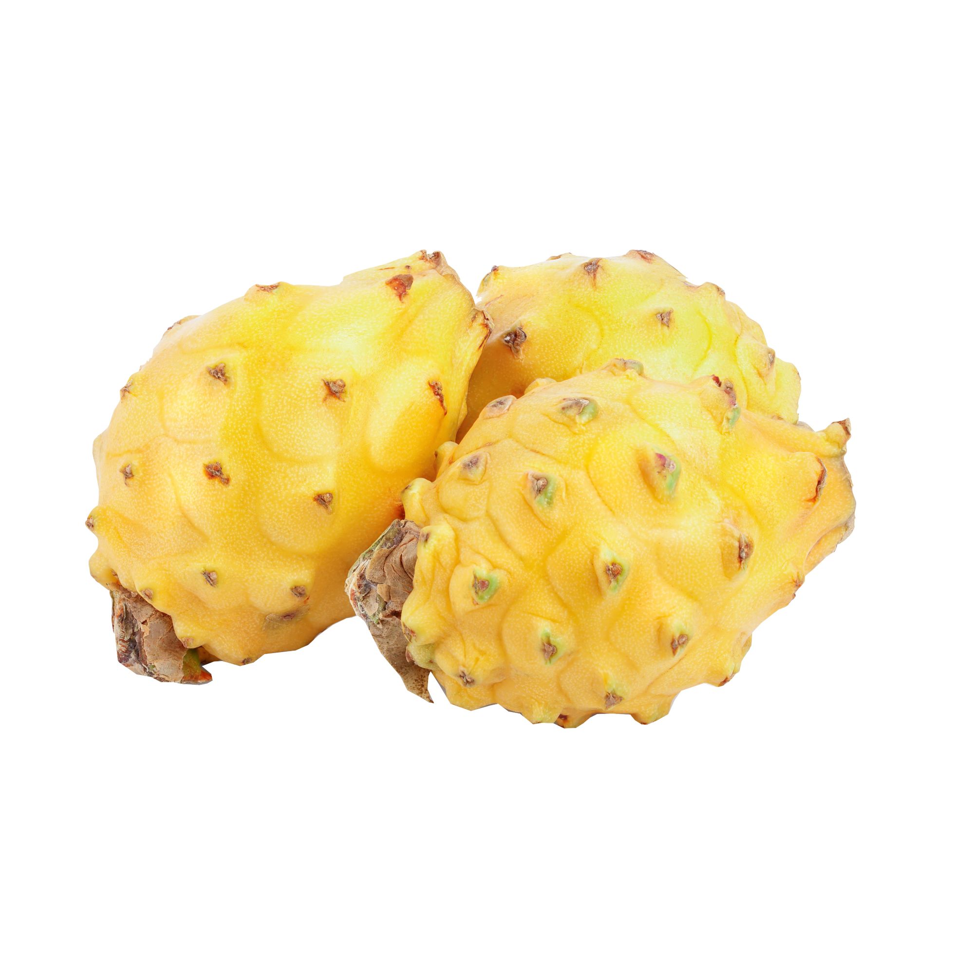 White Dragon Fruit, 1 ct - Foods Co.