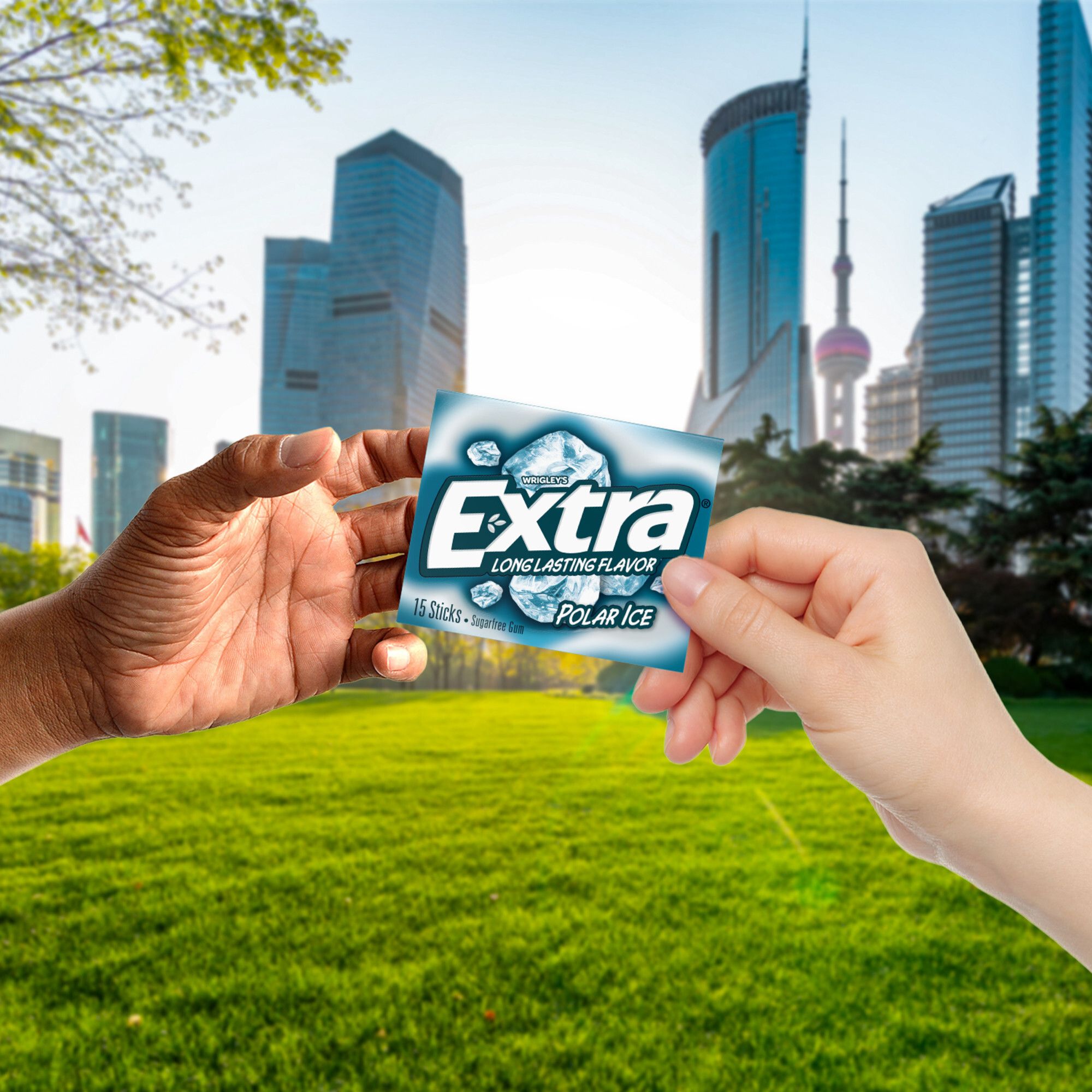 Extra Polar Ice Sugarfree Gum, 10 pk.