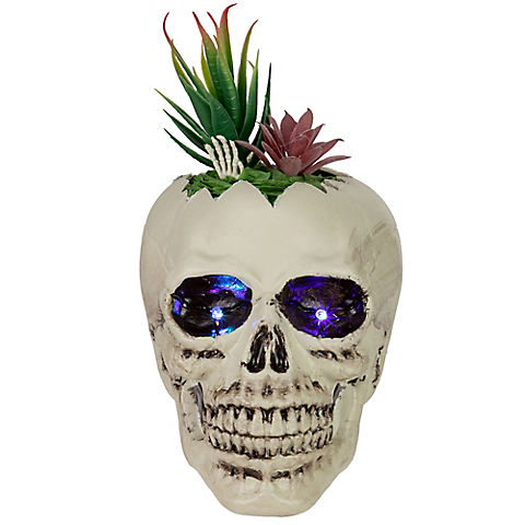 Northlight 8.75" LED Lighted Succulent Halloween Skull Planter