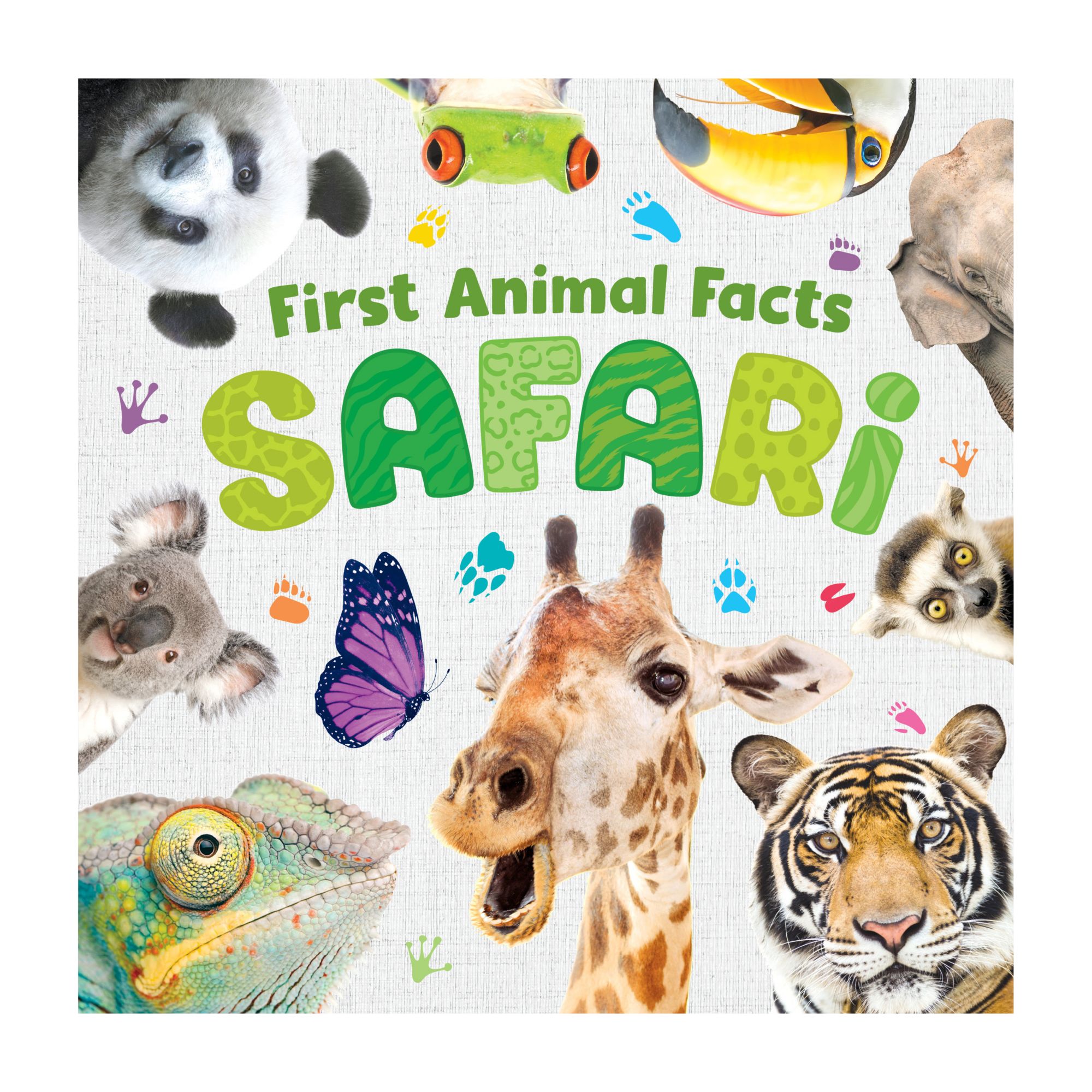 First Animal Facts: Safari | BJ's Wholesale Club