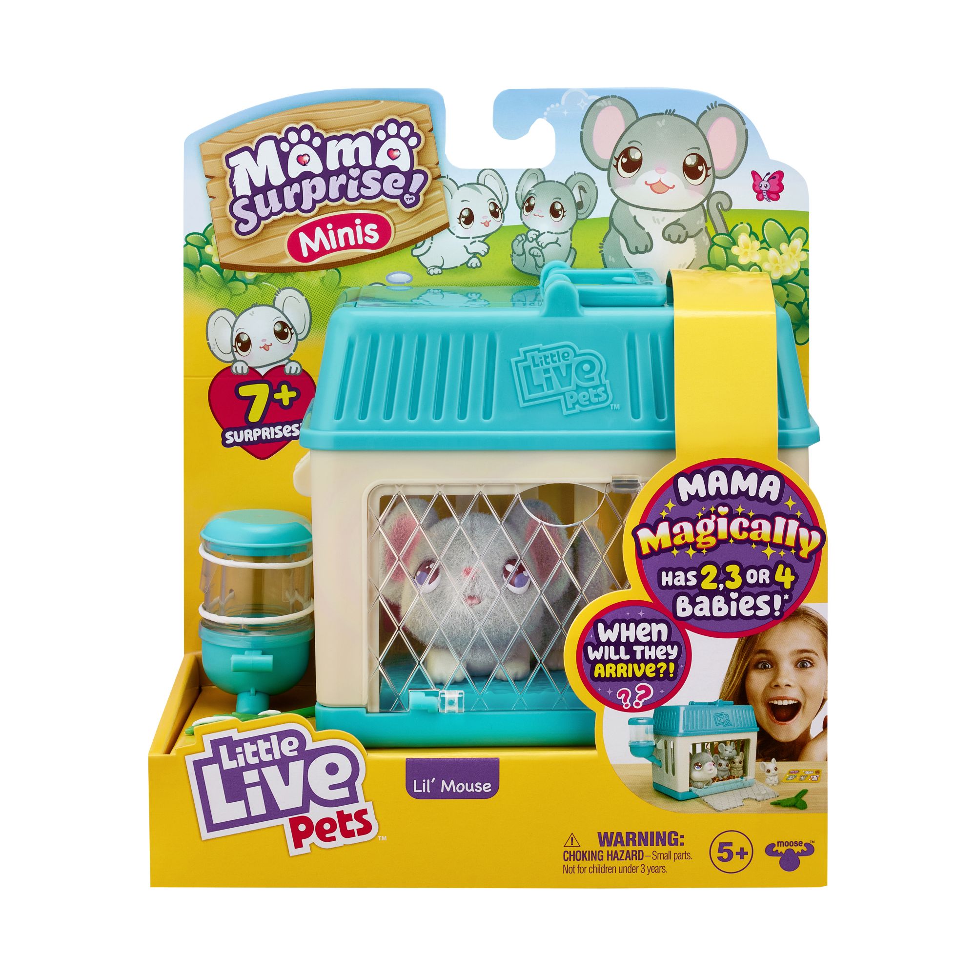 B&m little hot sale live pets