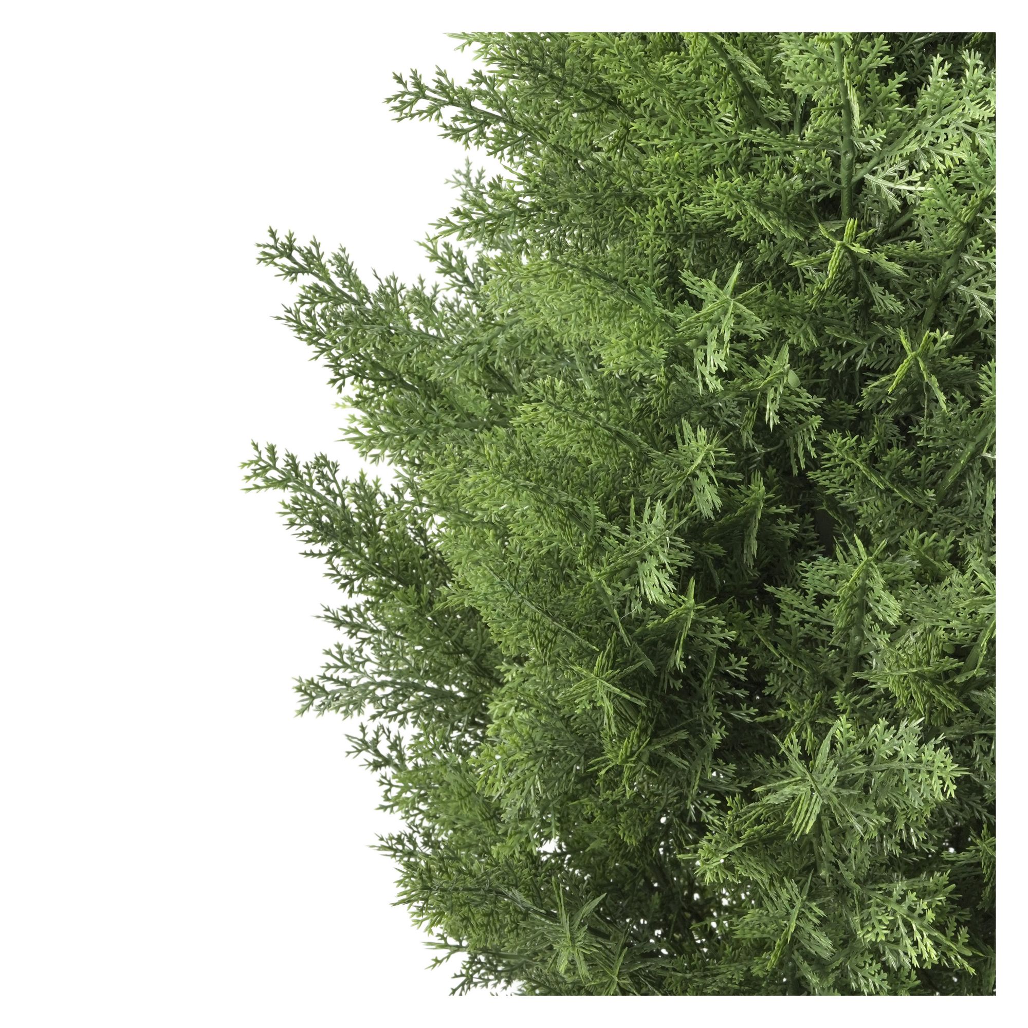 ヒロさん専用 ジョンロブ Cyprus キプロス 9EE ツリー付き 美品 Aurora International 4' Faux Cypress Topiary Tree | BJ's Wholesale