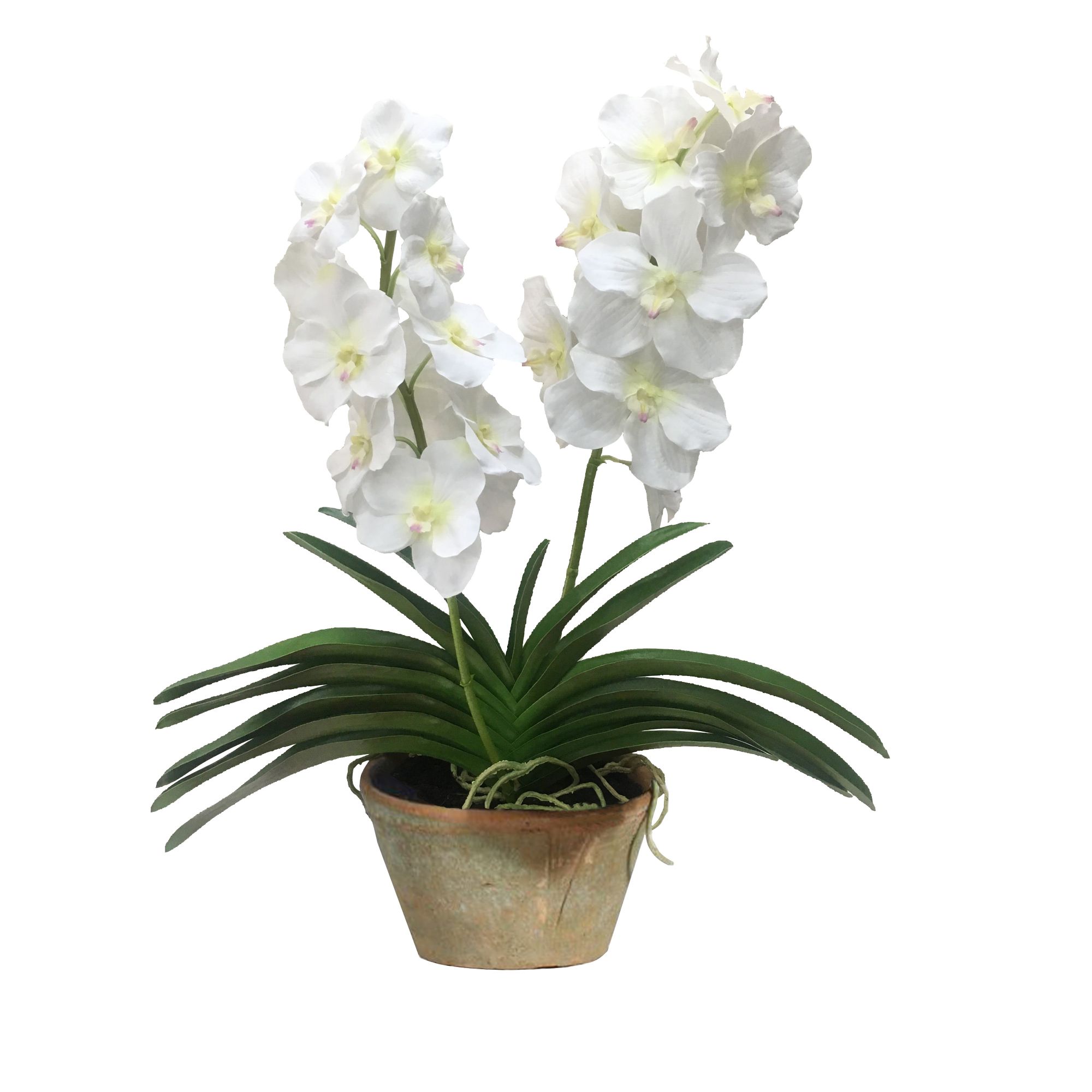 Winward Potted Vanda Orchid Artificial Plant, White | BJ's Wholesale Club