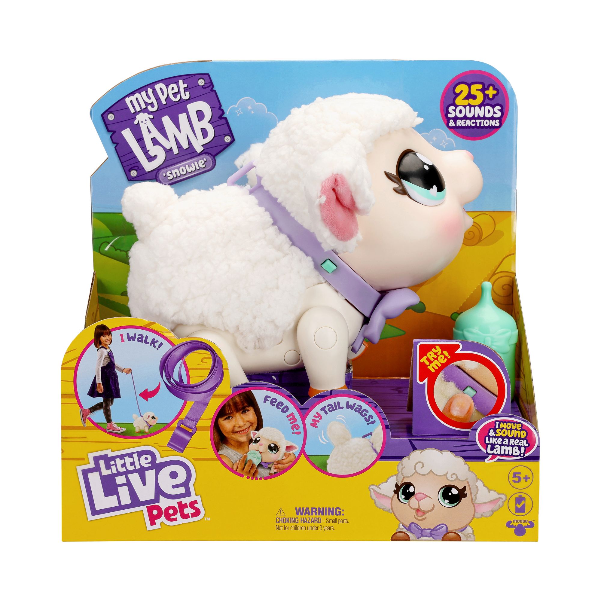 B&m little 2024 live pets