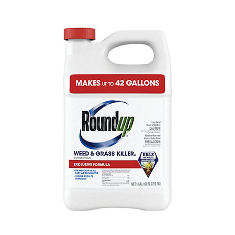 Roundup Weed & Grass Killer Concentrate Plus, 1 Gallon