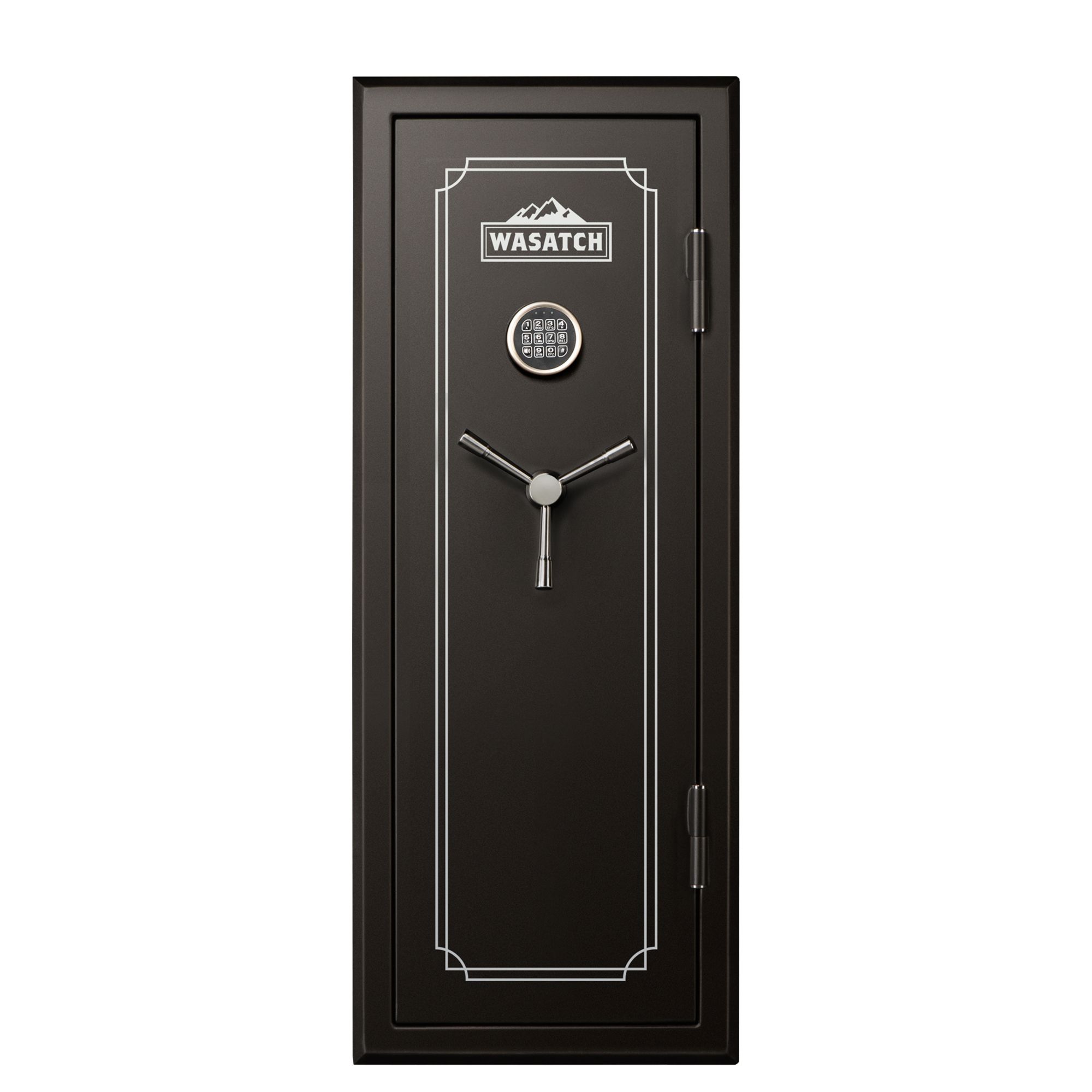 Store Gun safe