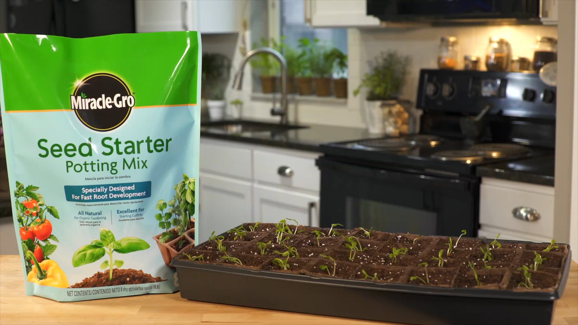 Miracle-Gro Seed Starting Potting Mix