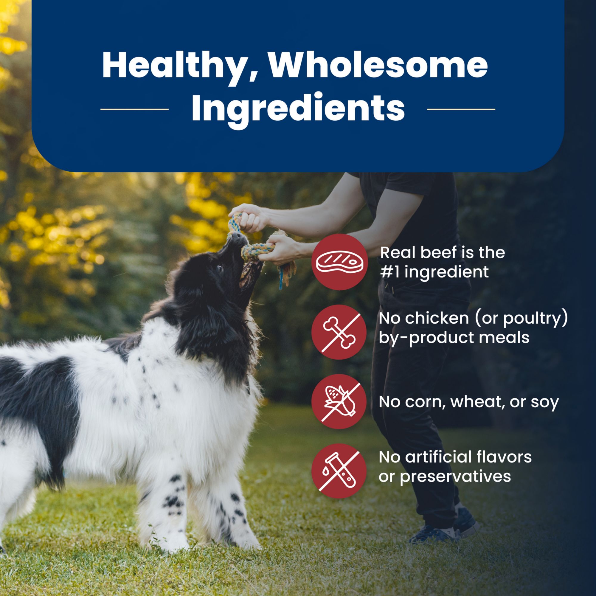 Blue Buffalo Life Protection Formula Adult Dry Dog Food, Beef & Brown Rice Recipe, 34 lbs. Bag