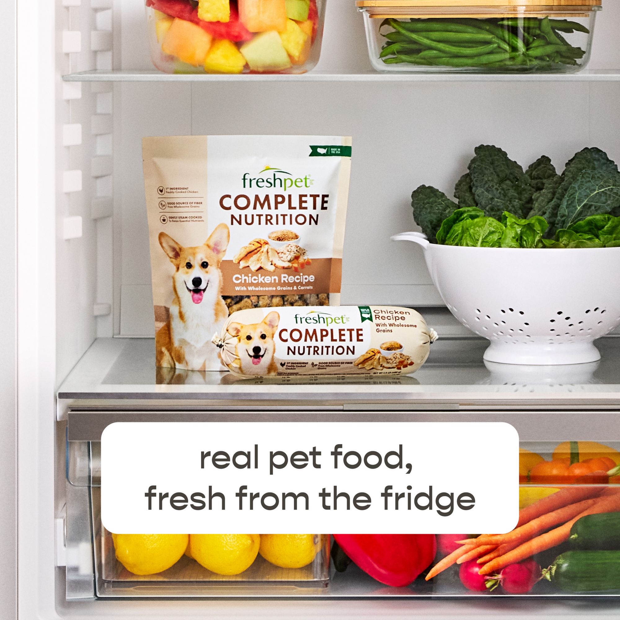 Freshpet Healthy & Natural Dog Food, Complete Nutrition Chicken Recipe, 1 lb.