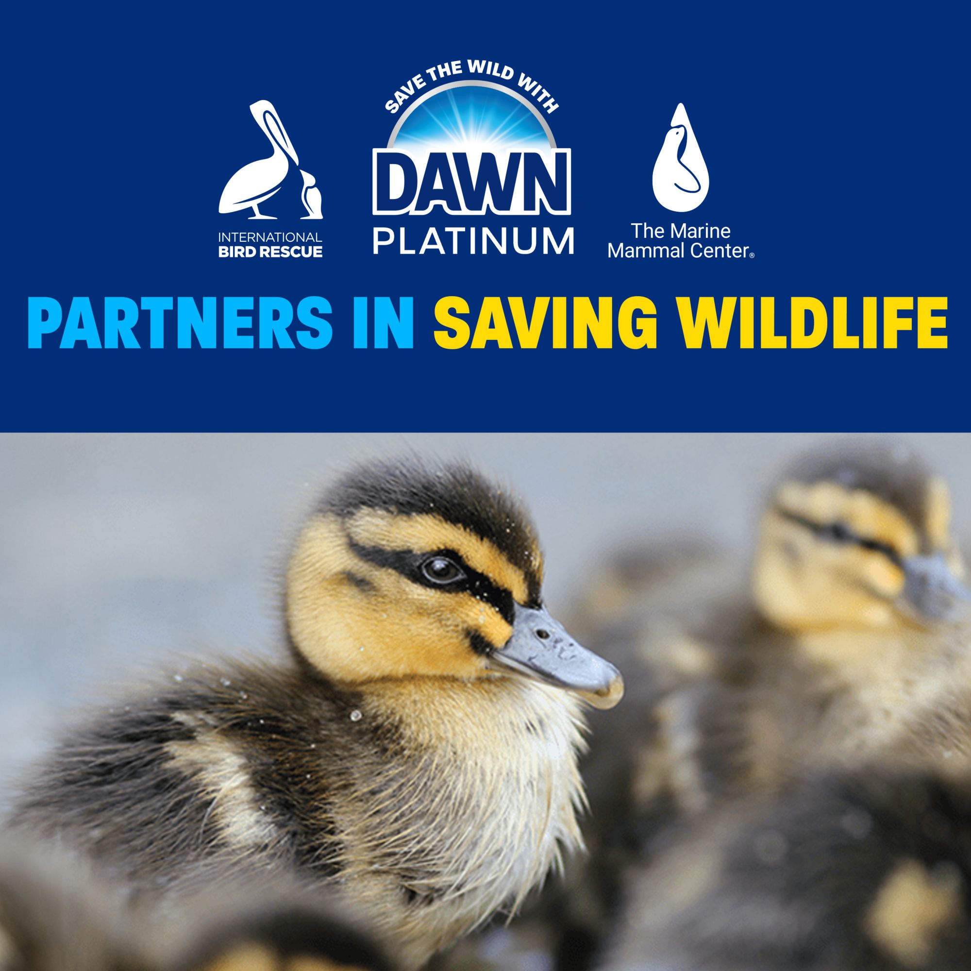 Dawn Platinum Dish Soap Dishwashing Liquid with Grease Removal - Fresh Rain, 90 oz.