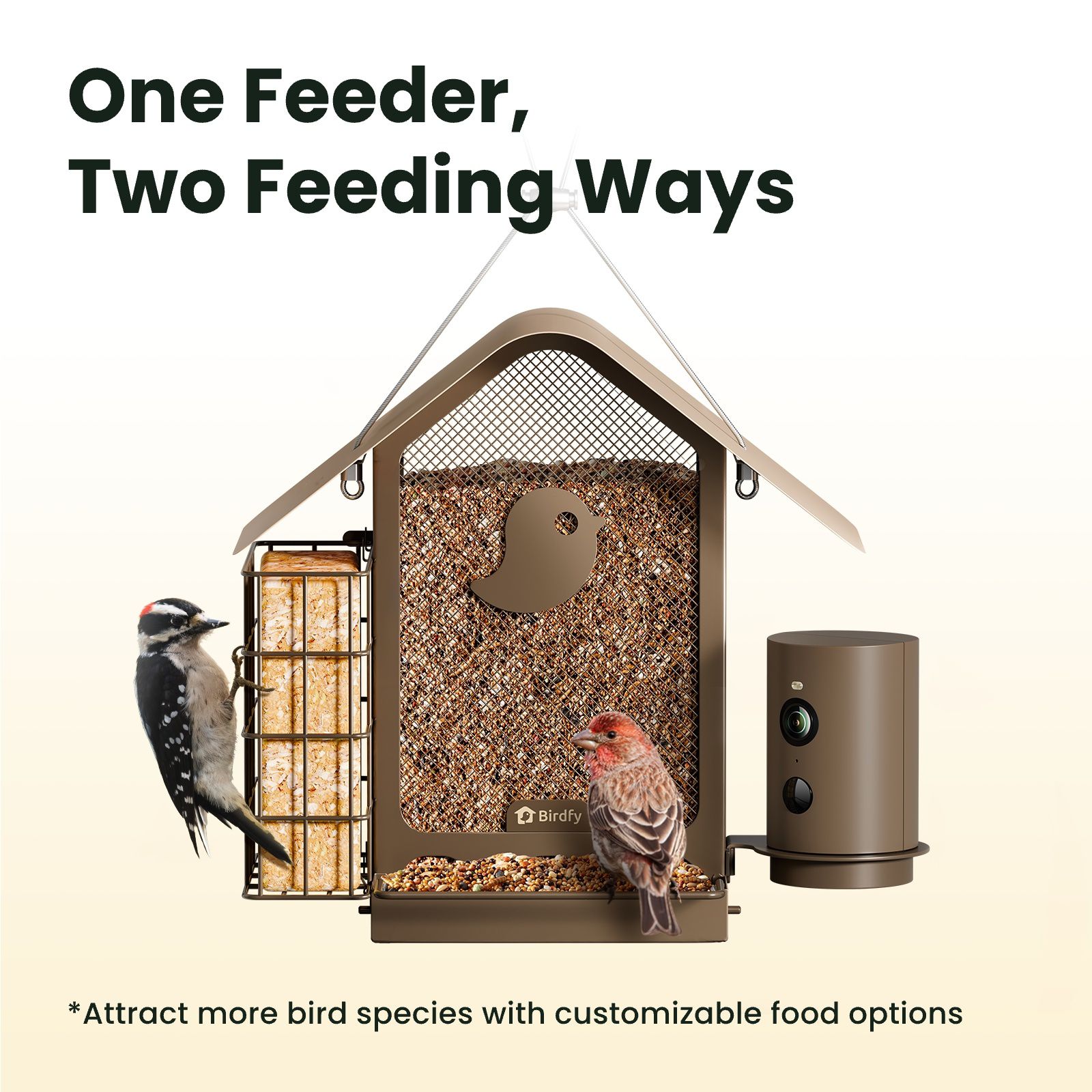 Birdfy Metal Smart Bird Feeder with Camera, 1080P HD, Solar Powered, AI Bird Identification