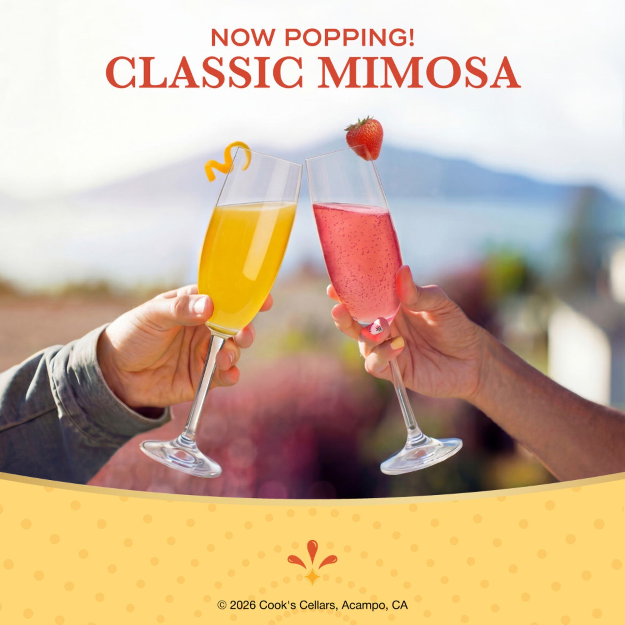 Cook's Sparkling Classic Mimosa Blend California Orange Wine Based Cocktail, 750ml