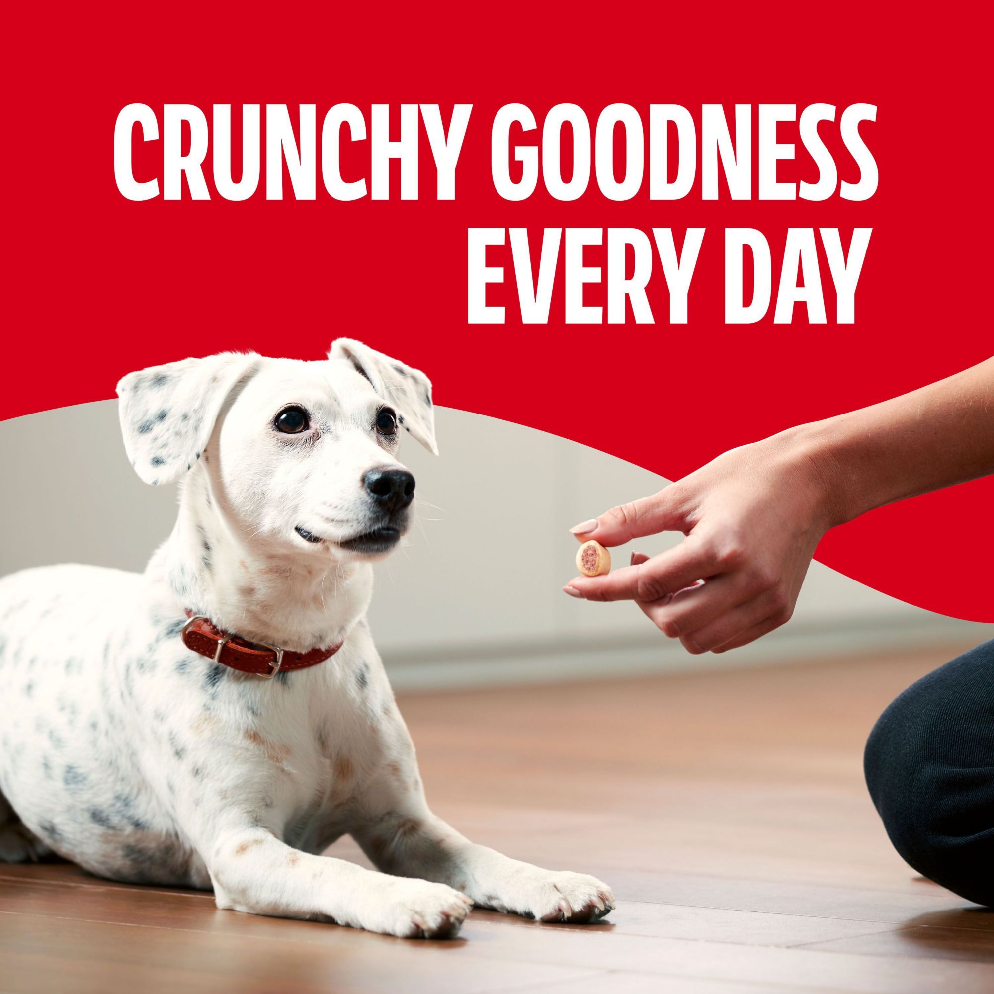 Milk-Bone Small Dog MaroSnacks, 50 oz.