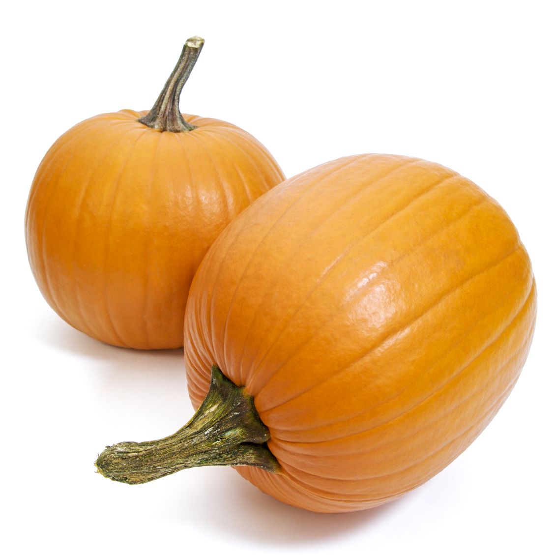 Jumbo Pumpkin, 25-30 lbs.