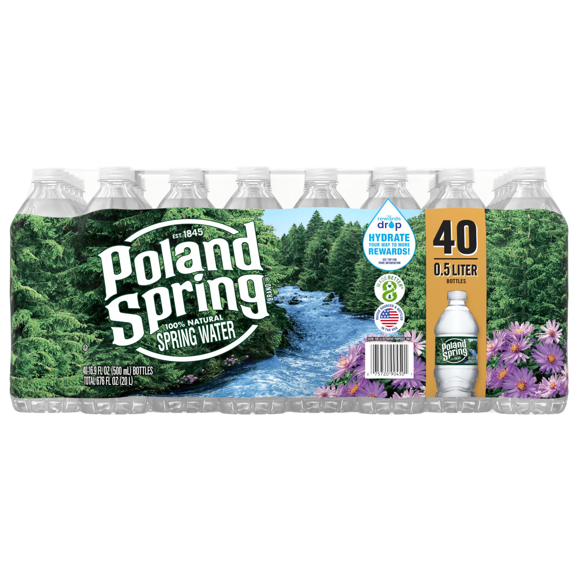 Poland Spring Brand 100% Natural Spring Water, 16.9 oz Plastic Bottles  (Pack of 24)