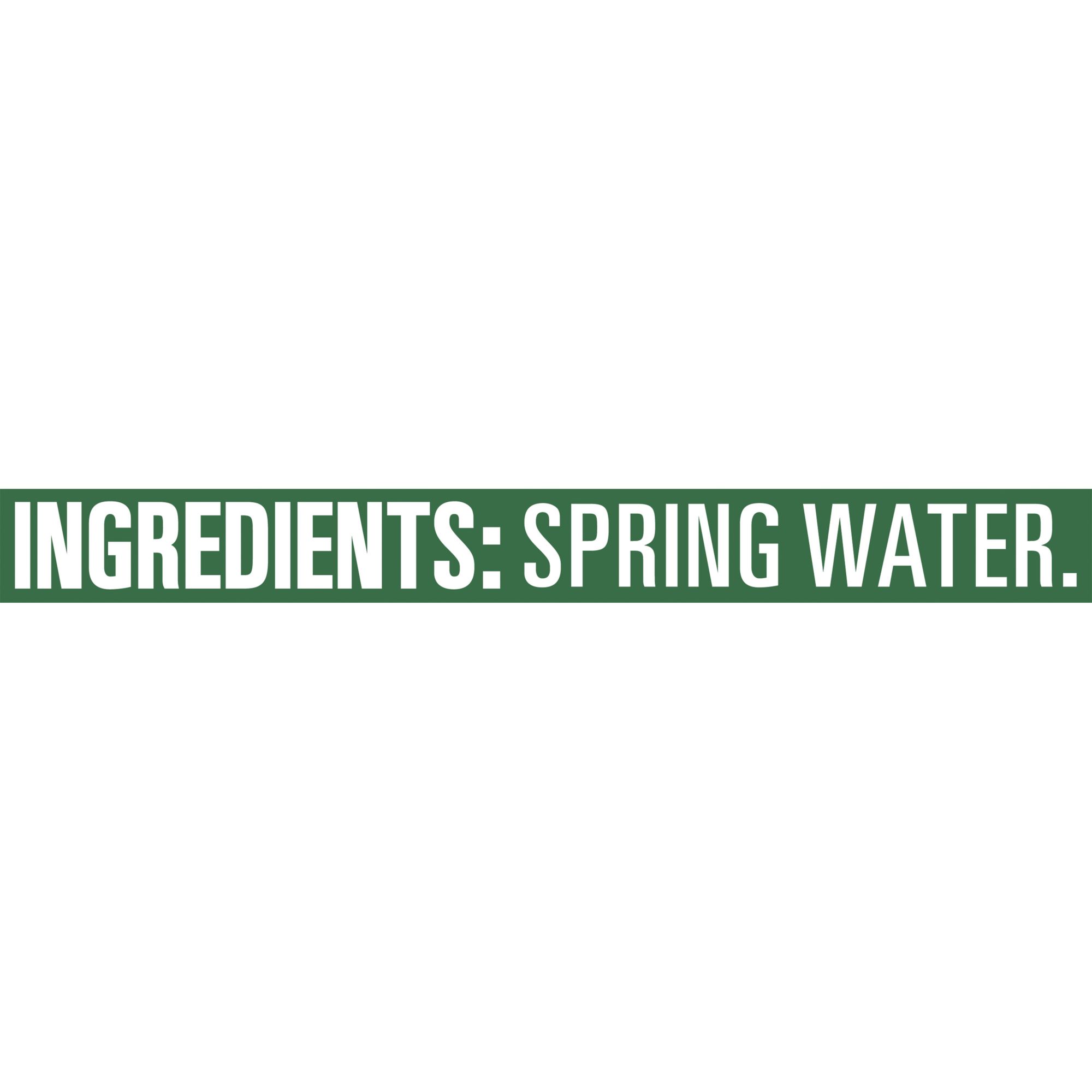 17440 - Poland Spring Water - 16.9 fl. oz. (40 Pack) - BOX: 40 Units