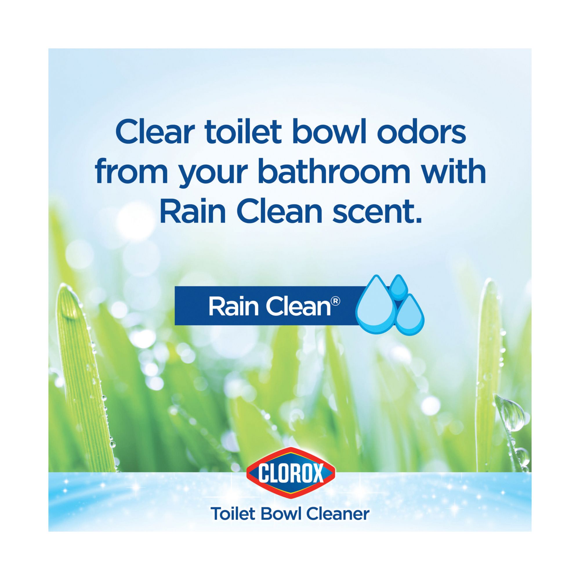 Clorox Cleaner + Bleach, Rain Clean